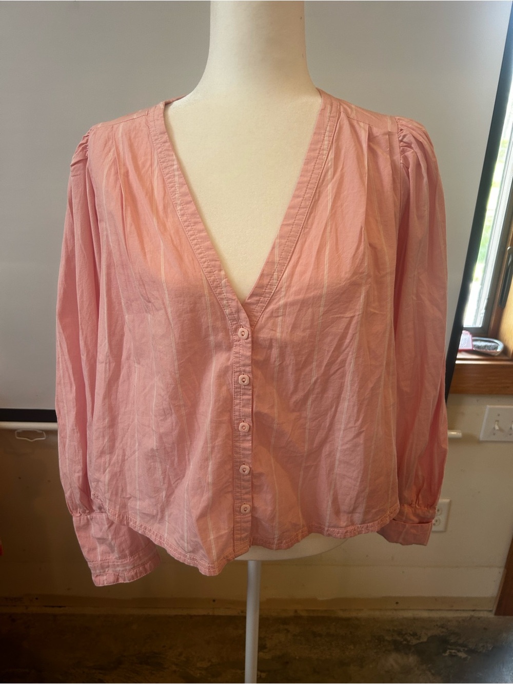 We The Free Blush Pink V-Neck Button-Front Blouse
